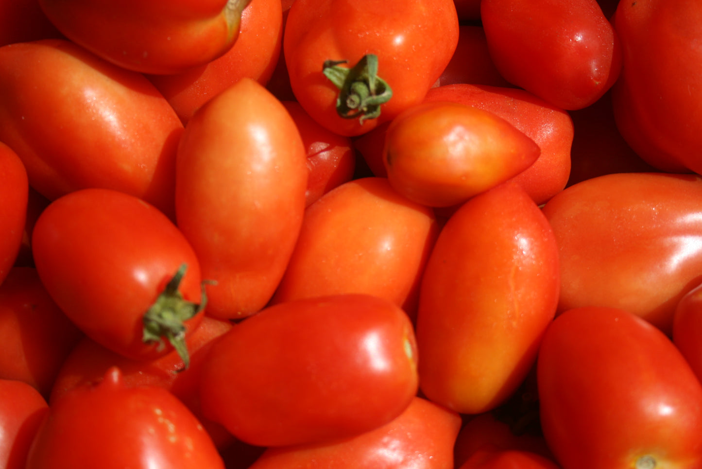 Seasonal Veg Box