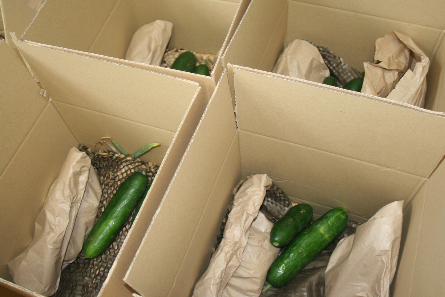 Seasonal Veg Box