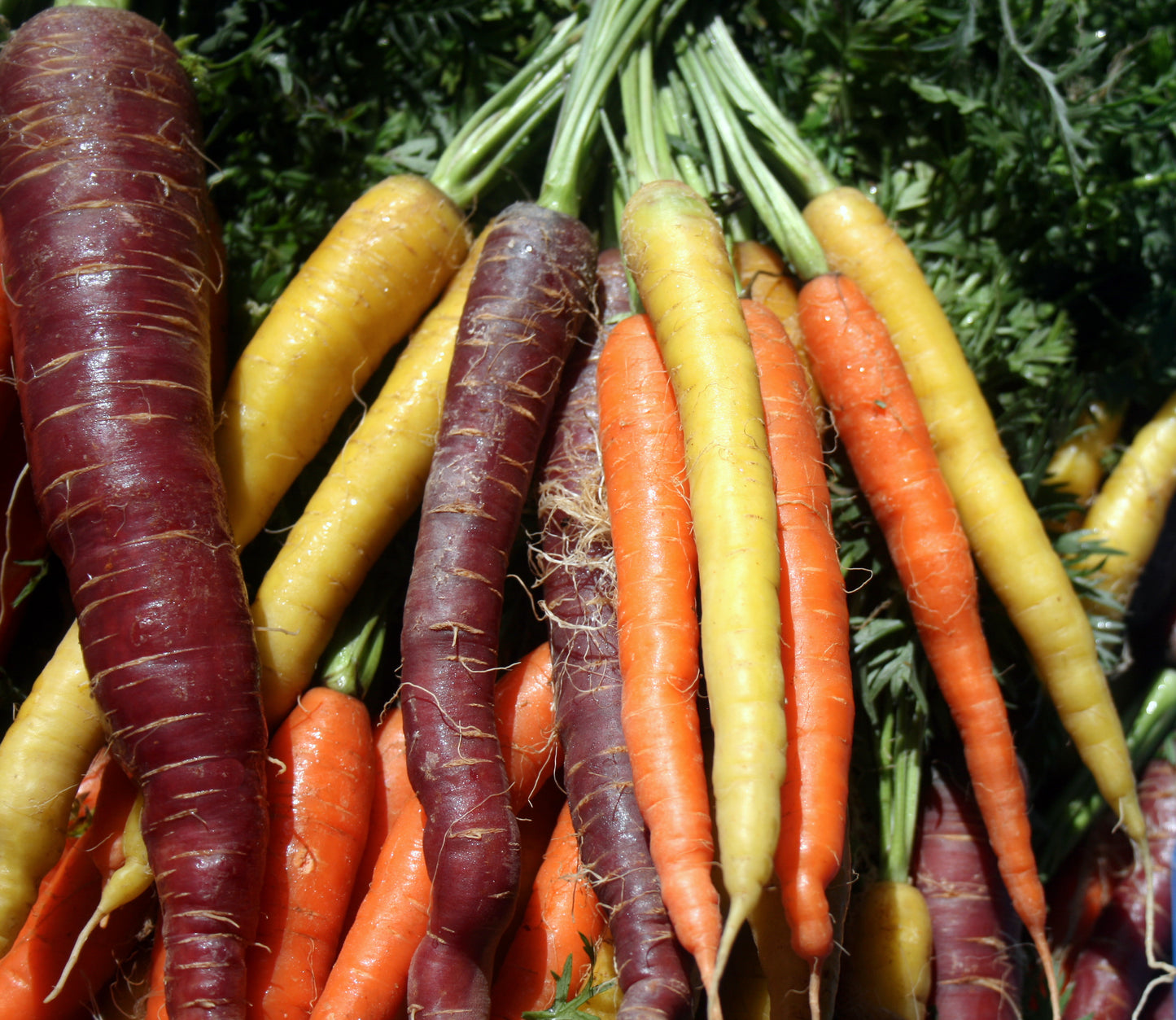 Seasonal Veg Box
